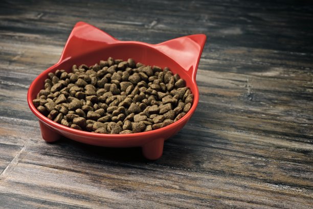 猫形碗装满干宠物食品。图片下载