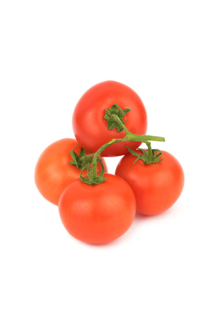 一堆新鲜的天然西红柿图片下载
