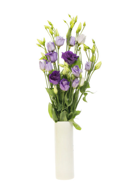 桔梗插花图片下载