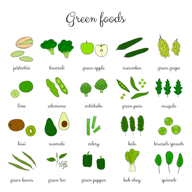手绘绿色食品套装图片下载