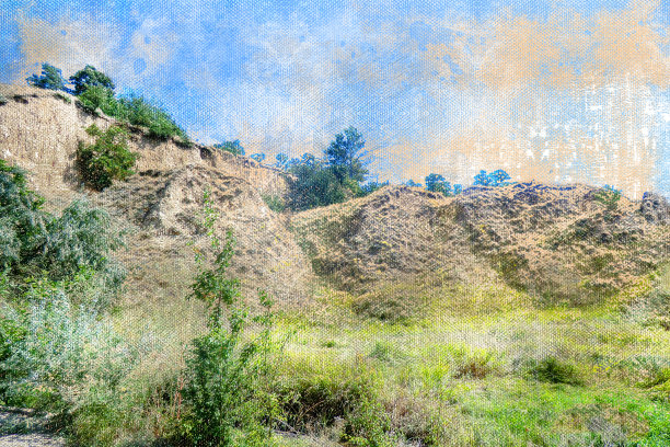 长满绿草和灌木的小山。蓝色的夏天的天空。温暖的阳光明媚的日子。7月的风景。图片下载