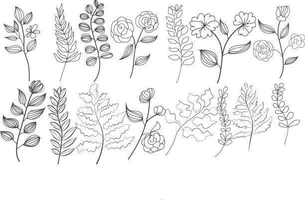 手绘植物植物线艺术图片下载