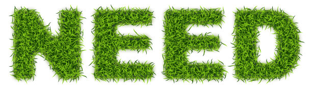 字需要绿色的草，Astroturf刻字图片下载