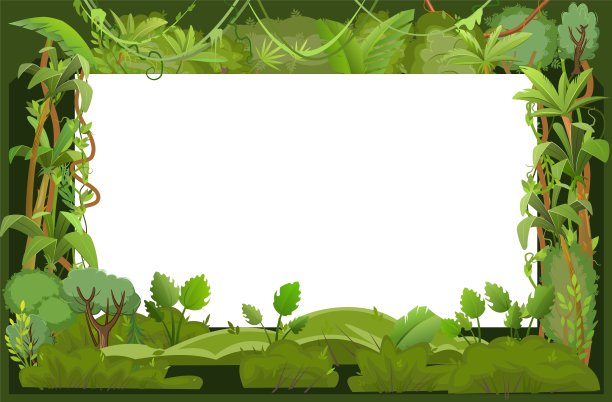 黑暗的雨林框架。绿色热带乔木，草本植物和灌木。平的卡通风格。藤本植物和棕榈树。绿色的奇异景观。孤立在白色背景上。向量。图片下载