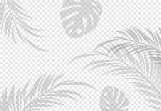 半透明阴影效果图片下载