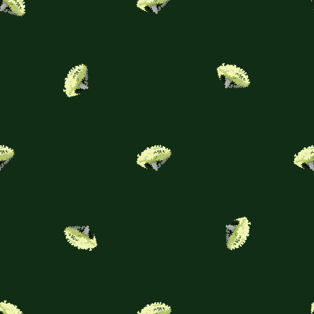 无缝图案洛拉玫瑰沙拉在深绿色背景。用生菜装饰的极简主义。图片下载