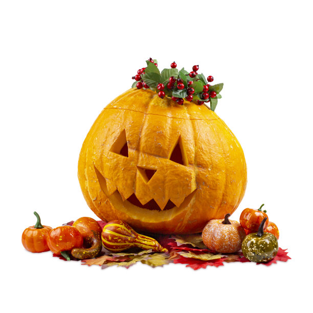 南瓜为万圣节和秋天的白色背景孤立的特写图片下载