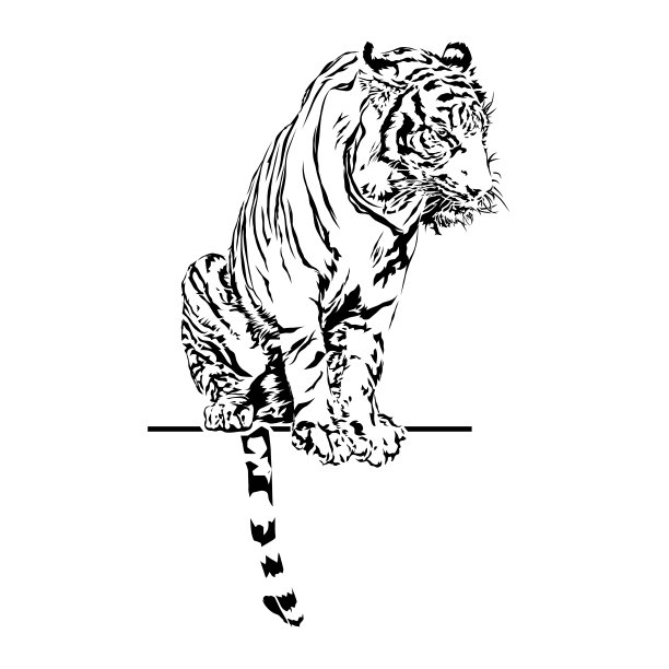 泰国动物园里的老虎。图片下载