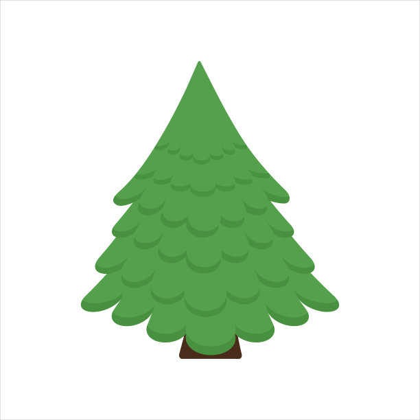 圣诞树。这棵树是云杉。假期。大自然。新年。圣诞节。图片下载