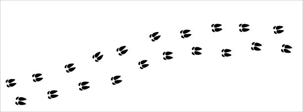 猪爪印痕迹。小猪，猪的脚印痕迹。背景矢量图。图片下载