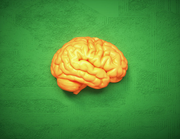 绿色背景上的黄色大脑图片下载