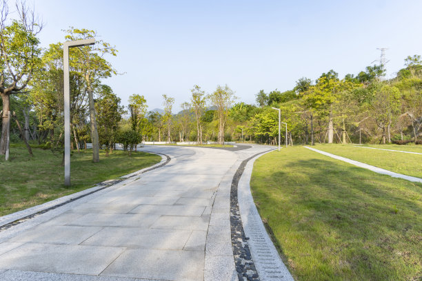 现代城市中的绿色公园。锻炼和放松。图片下载