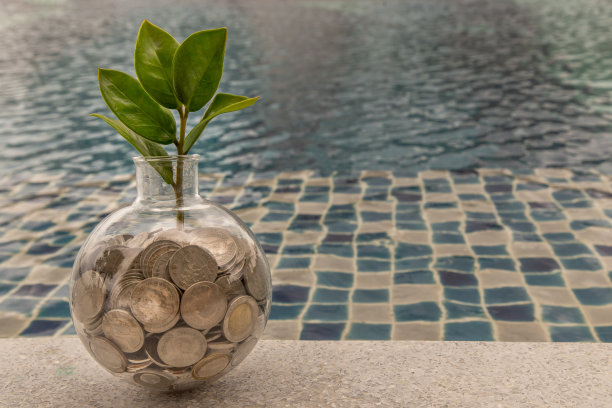 池塘背景的玻璃瓶里，一堆硬币上长着小树苗。图片下载