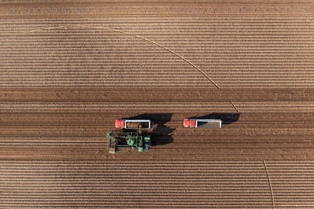 收获新鲜马铃薯的拖拉机、卡车和农业机械的鸟瞰图图片下载