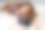 狗鼻子的特写图片下载