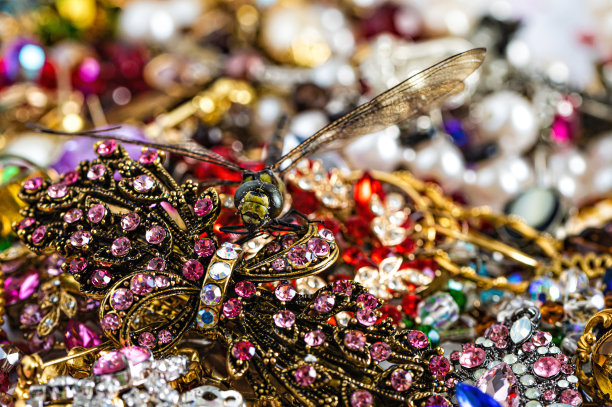 以蜻蜓为背景的色彩鲜艳明亮的珠宝，特写、软聚焦、选择性聚焦图片下载