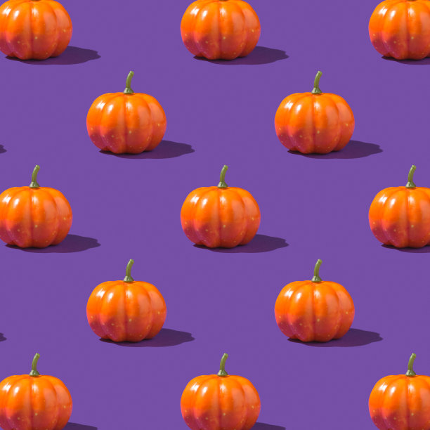 橙色南瓜在孤立的紫色背景上的照片图片下载