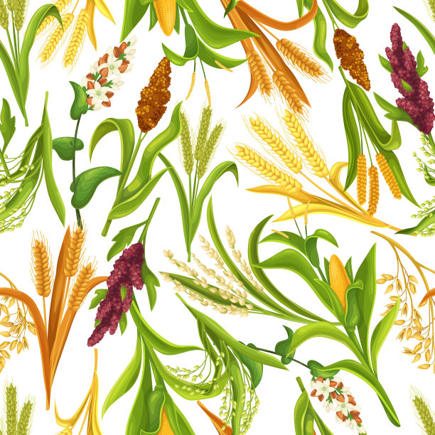 禾草谷类作物种植模式无缝衔接图片下载