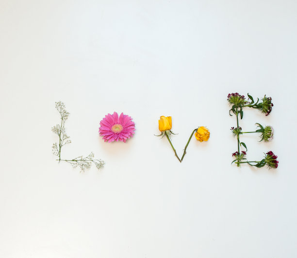 白色背景的鲜花情书图片下载