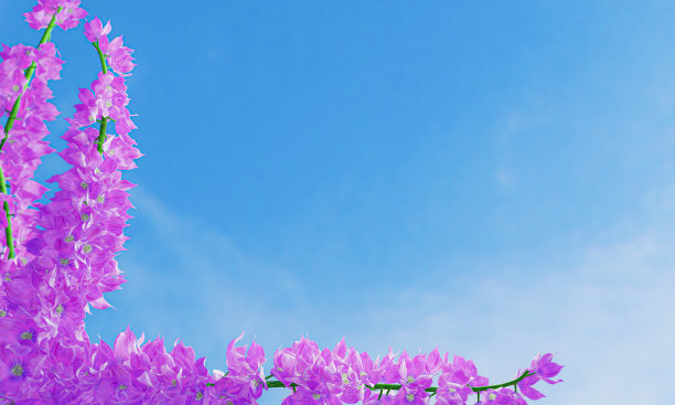 看起来像兰花的紫色花束。一束花的枝条。装饰画框用作背景或墙纸。三维渲染图片下载