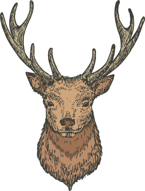 手绘圣诞驯鹿或鹿头颜色图片下载