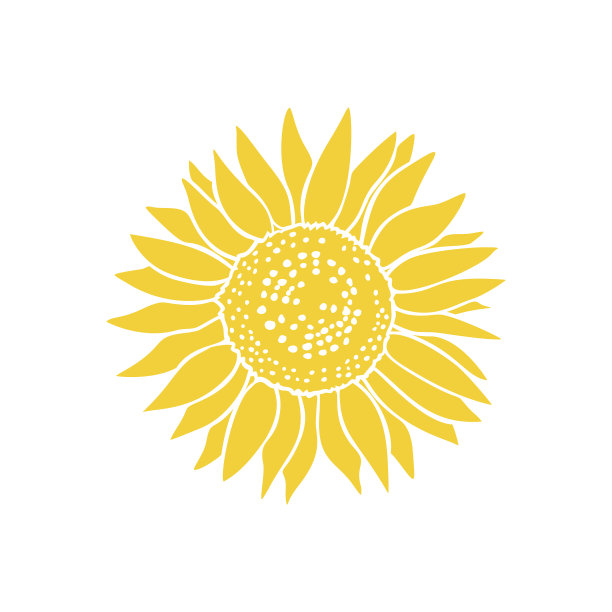 带有黄色向日葵的复古素描图标图片下载