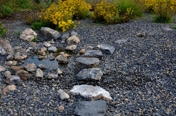 人造水瀑石廓的溪流作为夏季公园的游乐场。穿过池塘，前面是几块又大又平的石头。周围开着黄色的多年生花。灰色的砾石图片下载