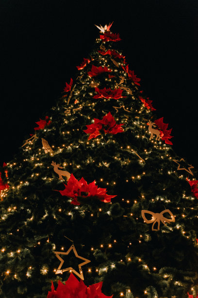 VDNG的新年彩灯图片下载