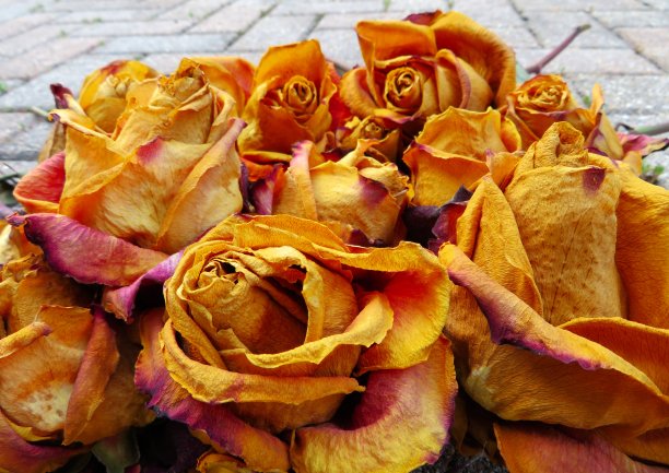 特写的一束干燥的黄色玫瑰盛开与砖路面的背景。图片下载