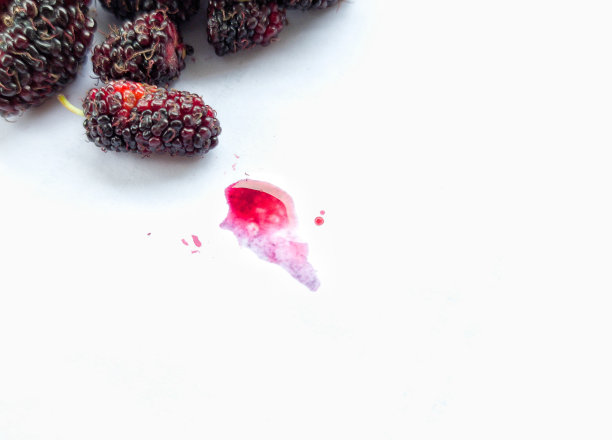 桑椹汁滴在白色背景上图片下载