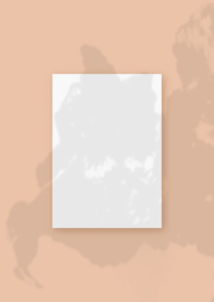 自然光将植物的阴影投射在白色纹理纸格式的垂直纸上，躺在橙色纹理背景上。模型图片下载