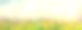 夏季鲜花草地全景图，3d渲染图片下载