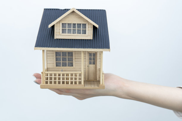一个手里拿着房子的女人。图片下载