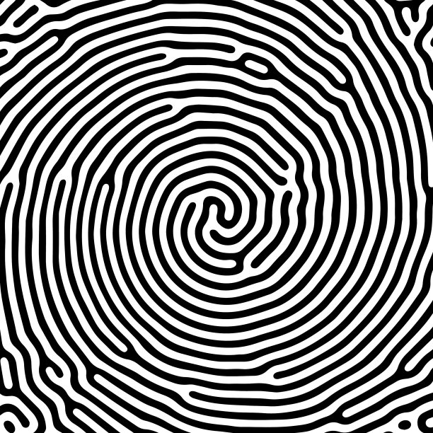 黑白有机圆线图案图片下载