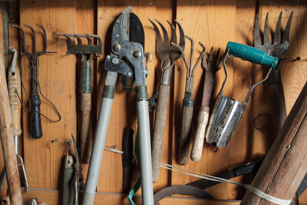 乡村花园工具的墙上有一间木棚图片下载