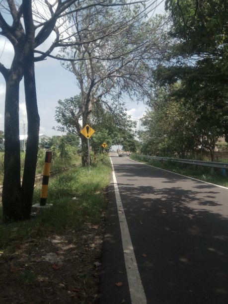 这条路图片下载