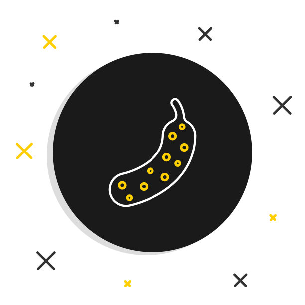 新鲜的黄瓜图标隔离在白色背景。色彩斑斓的轮廓的概念。向量图片下载