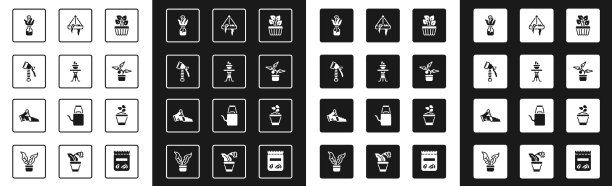 将室内常青藤放在桌上的盆栽植物中图片下载