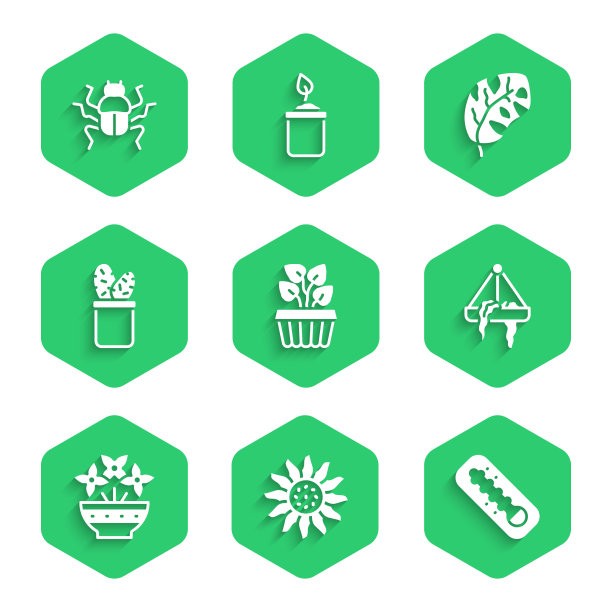 室内盆栽常青藤气象学图片下载