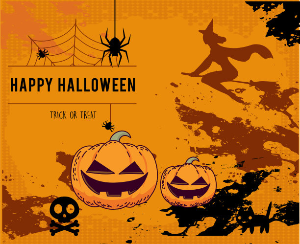 南瓜橙万圣节10月31日蜘蛛猫图片下载