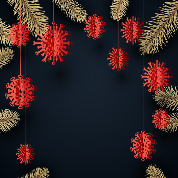 金云杉树枝方框冠图片下载