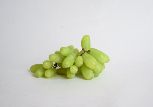 白色背景上的葡萄。葡萄孤立图片下载
