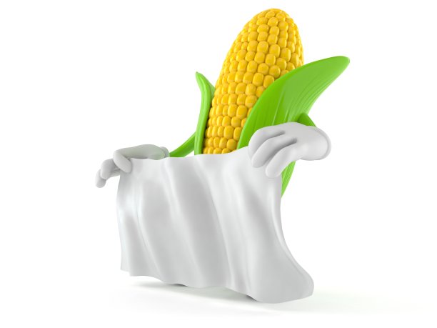 玉米性状持白单图片下载