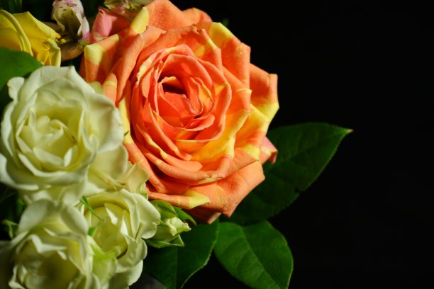 一束粉红色和白色的玫瑰图片下载