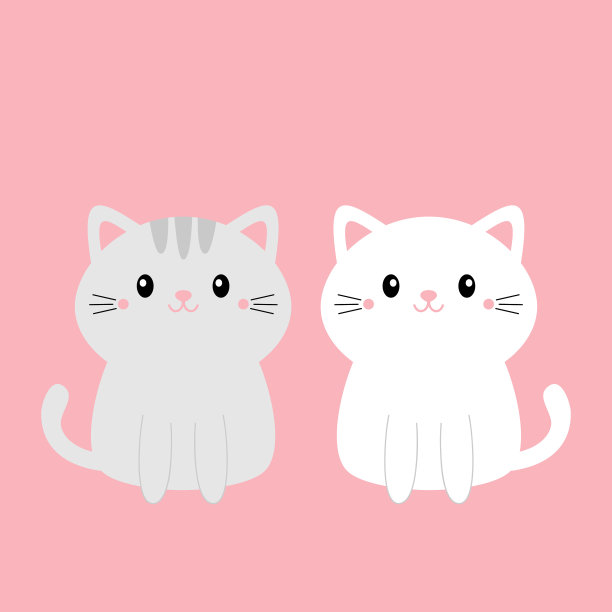 可爱的灰白色小猫小猫集卡哇伊图片下载