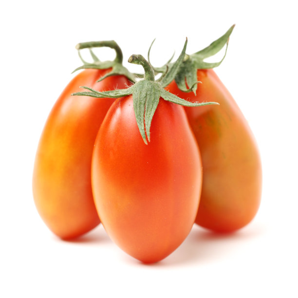 圣女果图片下载