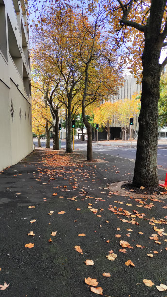 新西兰的秋天图片下载