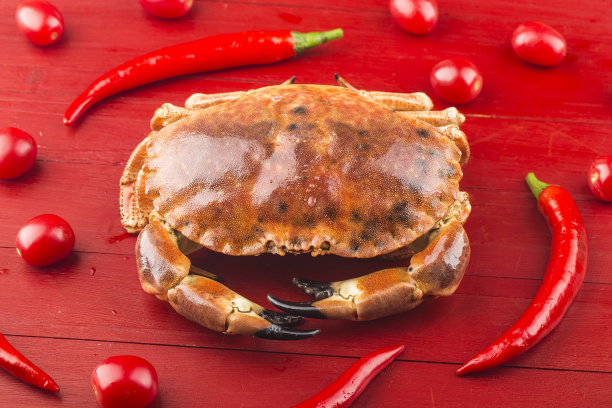 熟褐蟹或隔离食用蟹图片下载