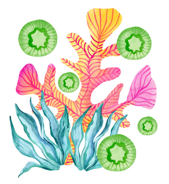 水彩抽象珊瑚和水母组成孤立在白色背景。手绘彩色植物水下插图。图片下载