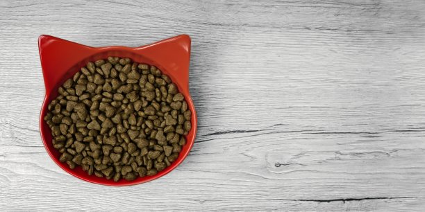 红色猫形碗装满干宠物食品木制背景。全景图像与复制空间。图片下载